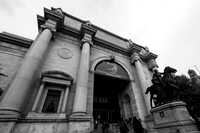 The Museum
