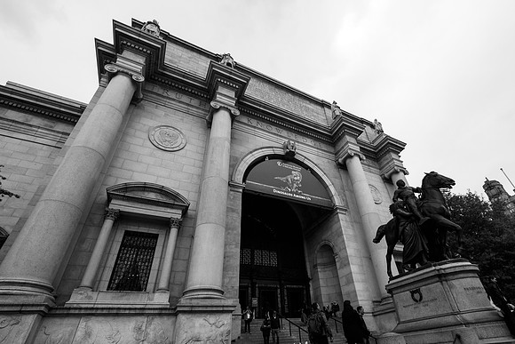 The Museum