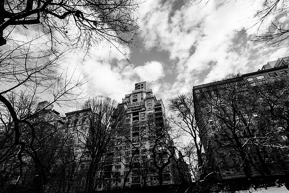 A Walk in Central Park