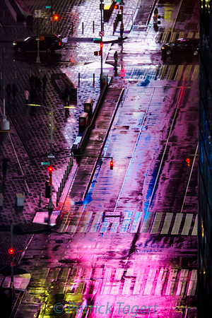 Purple Times