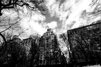 A Walk in Central Park