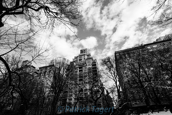 A Walk in Central Park