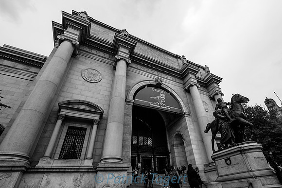 The Museum